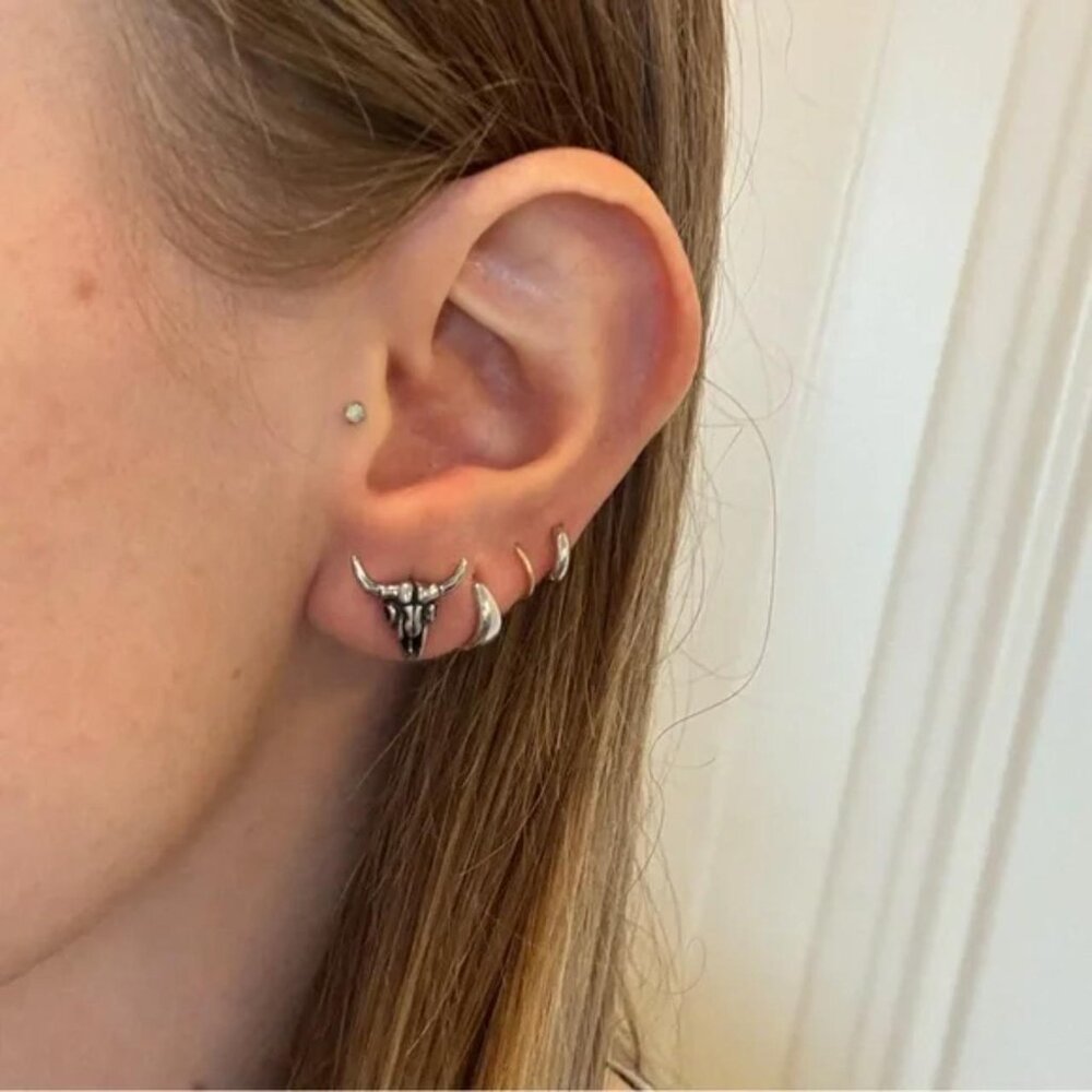 The Aliyah Western bull head silver stud earrings longhorns long horns texas